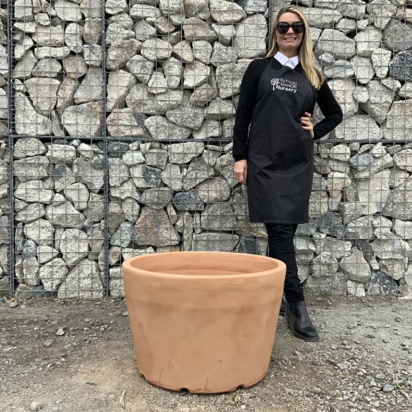 The Capri Pot 63 Colour Terracotta - IMG 3809 scaled
