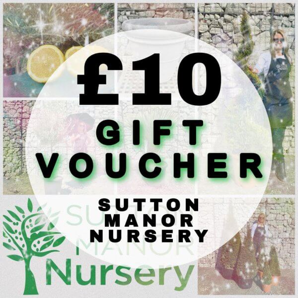 £10 Gift Voucher (Sutton Manor Nursery) - 10