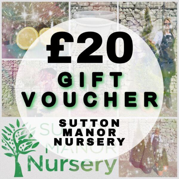 £20 Gift Voucher (Sutton Manor Nursery) - 20