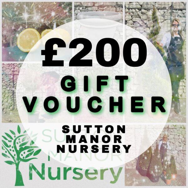 £200 Gift Voucher (Sutton Manor Nursery) - 200