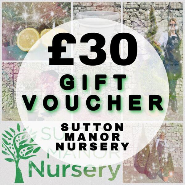 £30 Gift Voucher (Sutton Manor Nursery) - 30