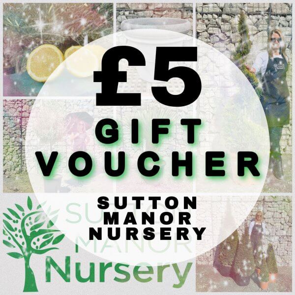 £5 Gift Voucher (Sutton Manor Nursery) - 5