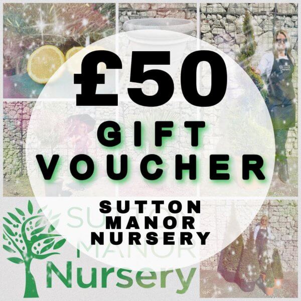 £50 Gift Voucher (Sutton Manor Nursery) - 50