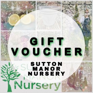 Gift Vouchers