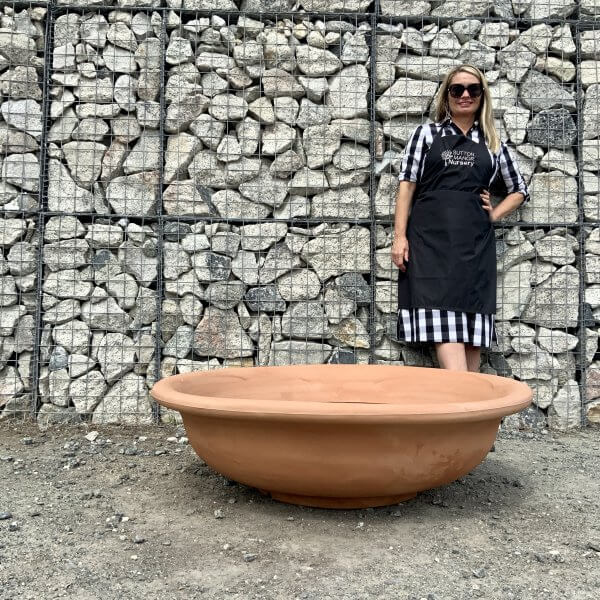 The Rimini Bonsai Bowl Style Pot 112 (Colour Terracotta) - IMG 7492 scaled