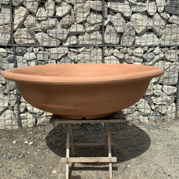 The Rimini Bonsai Bowl Style Pot 112 (Colour Terracotta) - IMG 7498 scaled