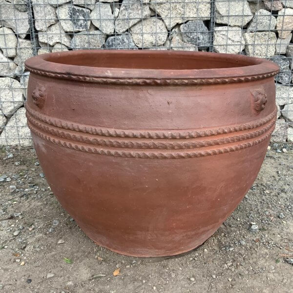 Iron Stone 82 - Apricot Lion Head Pot (Black Vietnamese Clay) - 2 1