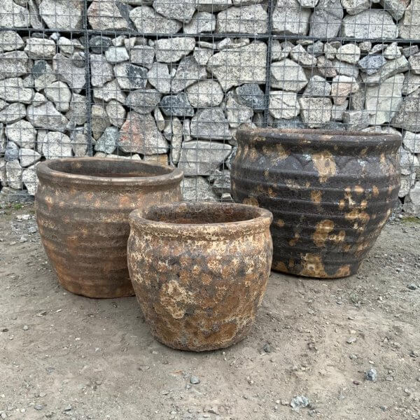 The Atlantis Set Of 3 Pots (DEAL) Bowl "Golden Rust" Plant Pot - 2 21