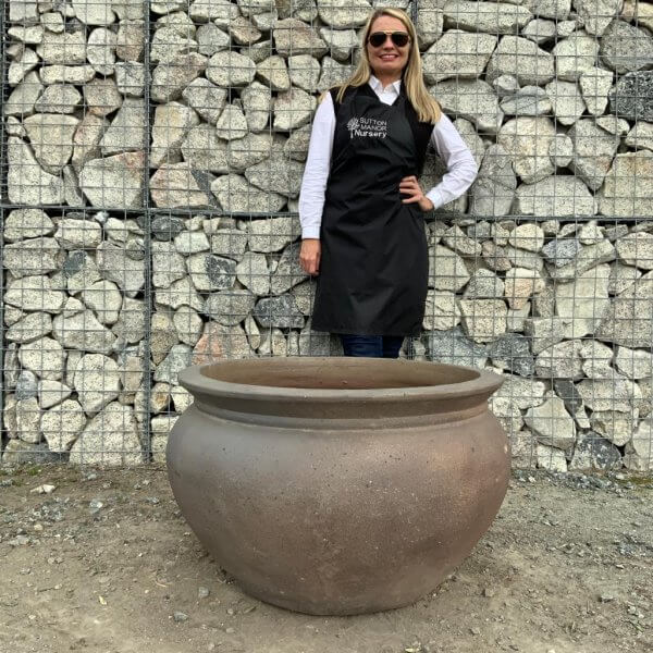 Old Stone 77 "Ho-an Bowl" Plant Pot (Black Vietnamese Clay) - WhatsApp Image 2023 09 28 at 09.46.40 3