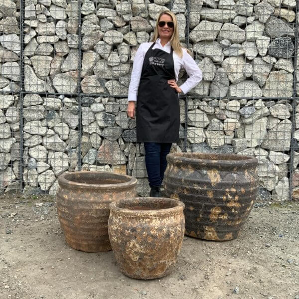 The Atlantis Set Of 3 Pots (DEAL) Bowl "Golden Rust" Plant Pot - WhatsApp Image 2023 09 28 at 15.18.21