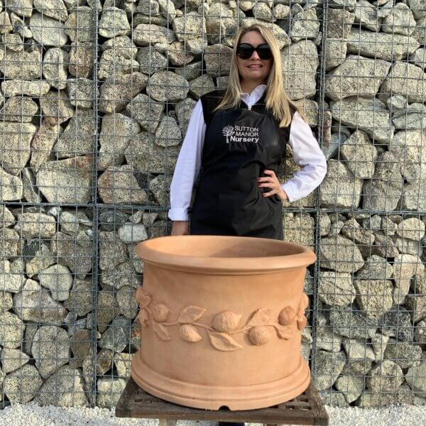 The Tuscany Fruit Pot 50 Colour Terracotta