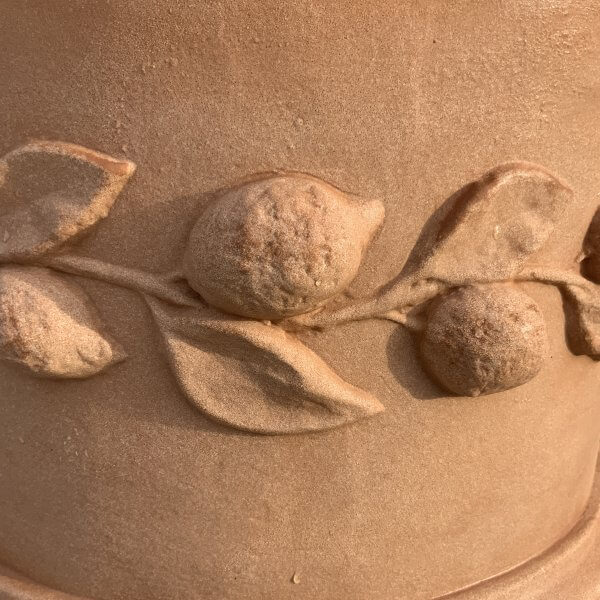 The Tuscany Fruit Pot 50 Colour Terracotta - IMG 8229 scaled