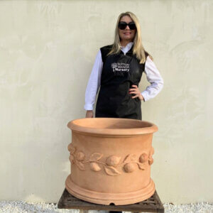 The Tuscany Fruit Pot 50 Colour Terracotta (Resin)