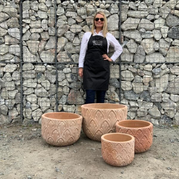 The Terracotta Leaf Plant Pots Set Of 3 Pots & Get 1 Free Pot(DEAL) - WhatsApp Image 2023 10 02 at 15.03.54 f27c4ac2
