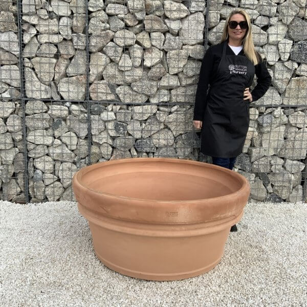 Terracotta Tuscan Pot Shallow Bowl 110 (Handmade) - 1DB764E6 89B4 45EA B97A 219AFCB70233 1 105 c