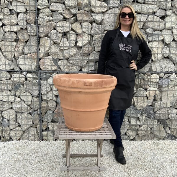 Terracotta Tuscan Pot Rolled Rim 56 (Handmade) - 1EAD68BD AA99 462B 97E5 F21738880A3C 1 105 c