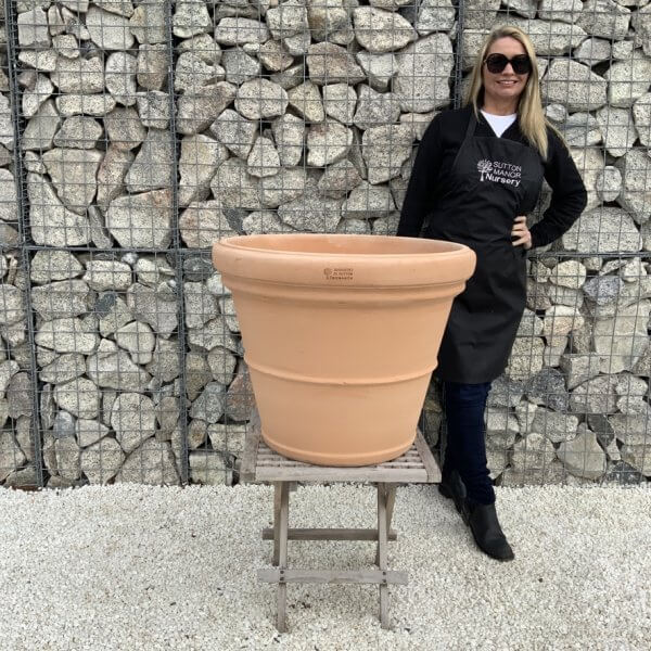 Terracotta Tuscan Pot Rolled Rim Large 70 (Handmade) - 6564EA00 4EB1 4F01 8784 728CD08D7A54 1 105 c 1