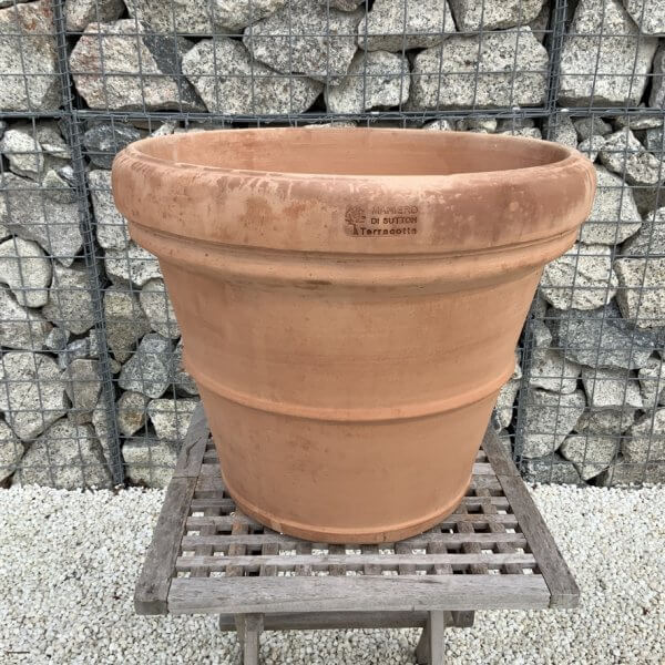 Terracotta Tuscan Pot Rolled Rim 60 (Handmade) - B869CED9 2B0A 4F84 817D 53FF83F6EEAE 1 105 c 1