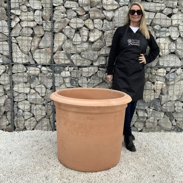 Terracotta Tuscan Pot Cylinder 80 (Handmade) - CCBABD90 8A3F 4822 8130 59D769BC75C1 1 105 c