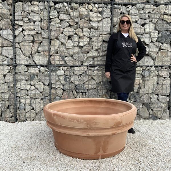 Terracotta Tuscan Pot Shallow Bowl 110 (Handmade) - FCE44E5C 4A96 48E3 B592 36AF21609EF1 1 105 c