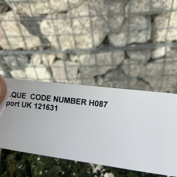 Ilex Crenata Kinme Cloud Tree H087 - 6F6119AB C9E0 45A8 94ED A274AB8DE14A scaled