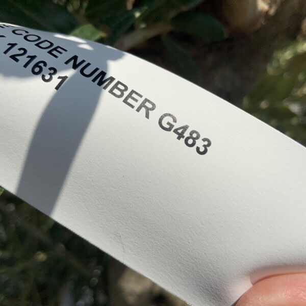 Gnarled Olive Tree Multi Stem Thick XL G483 - Image 4