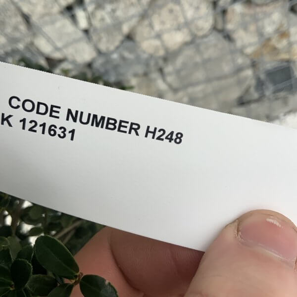 Ilex Crenata Kinme Cloud Tree H248 - DF2B1540 E123 4D09 B62B C2CBFDA3545D 1 105 c