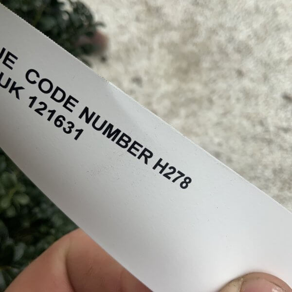 Ilex Crenata Kinme Cloud Tree H278 - 03174754 DCAB 429D 8906 D0D1009E9B38 1 105 c