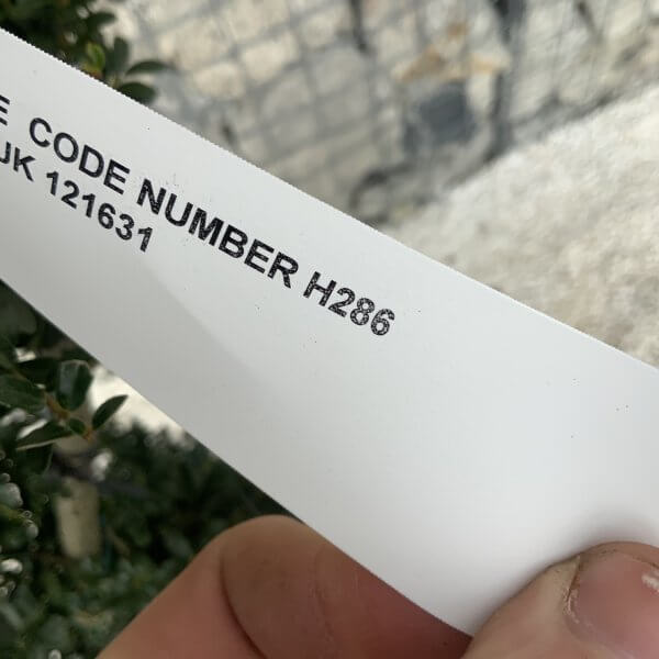 Ilex Crenata Kinme Cloud Tree H286 - 1A8F716A 032E 4E12 80C8 6D93C4B27AB0 1 105 c