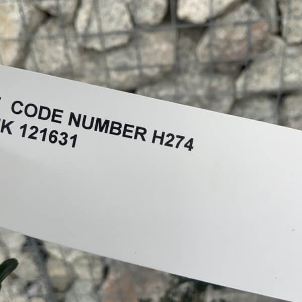 Ilex Crenata Kinme Cloud Tree H274 - 3CE0093A B069 423C A3DB C64EA7BC3478 1 105 c