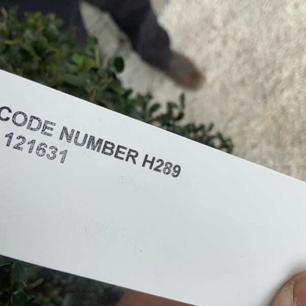 Ilex Crenata Kinme Cloud Tree H289 - 52F91647 3315 4DCE 8957 9A207710329C 1 105 c