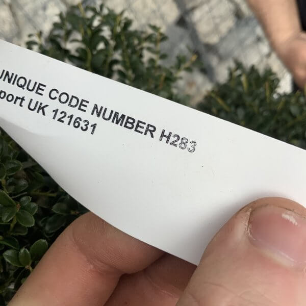 Ilex Crenata Kinme Cloud Tree H283 - 82472E5E ED53 4FC6 AC73 1752EE2DD543 1 105 c