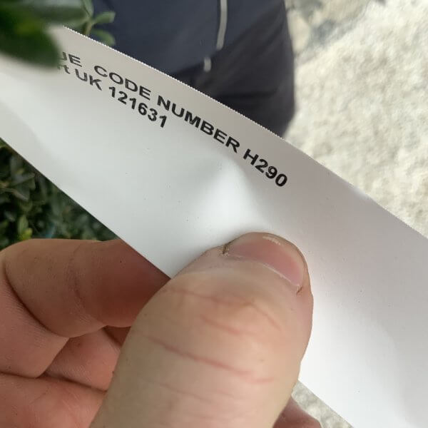 Ilex Crenata Kinme Cloud Tree H290 - BB931419 FB10 4471 909B EFD238E3CB6E 1 105 c