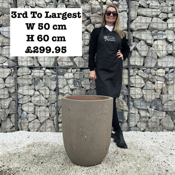 The Dalat Old Stone Plant Pots - 1FB81E4E C4EB 4BFF 9B8A 28E11CE661F4 1 105 c