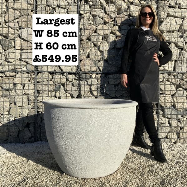 The Tam Coc Atlantis Shades Of White Plant Pots - 16C1AE50 577C 4151 9F51 A5E9F737352D 1 105 c
