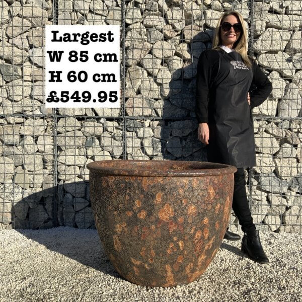 The Tam Coc Atlantis Shades Of Golden Rust Plant Pots - 60C0D7D4 B98C 4374 A13E 911C5EA880E9 1 105 c