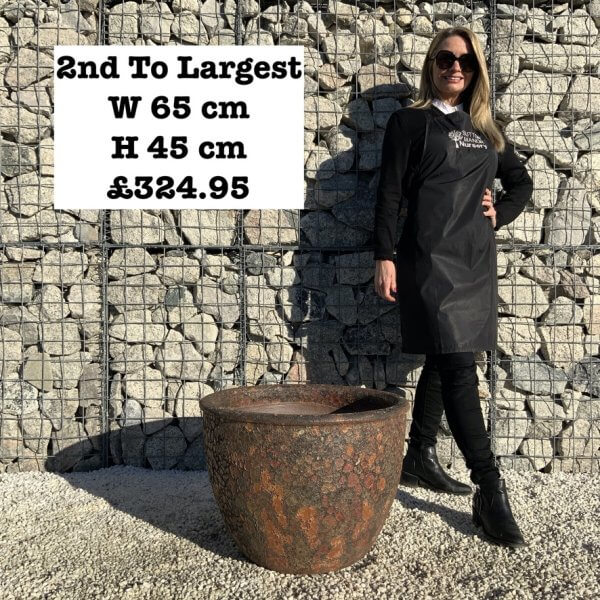 The Tam Coc Atlantis Shades Of Golden Rust Plant Pots - 8F42E6B0 3862 437A B8AE 362F0F6381C1 1 105 c