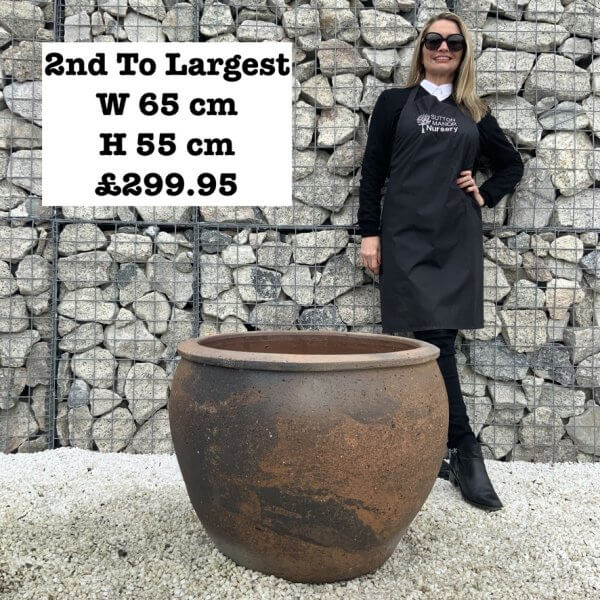 The Ha Long Bay Old Stone Plant Pots - A8BBC634 84AD 4E73 A079 CFEC49206C5F 1 105 c