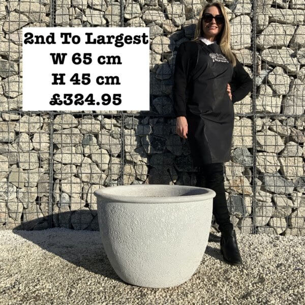 The Tam Coc Atlantis Shades Of White Plant Pots - F37B2E4A 6CC3 4FE6 BD87 E717B14EB4DB 1 105 c