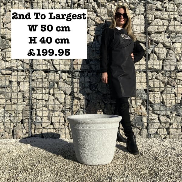 The Hanoi Atlantis Shades Of White Plant Pots - 6D2BF9D0 C417 4AB0 8F8F A06C07B474B6 1 105 c