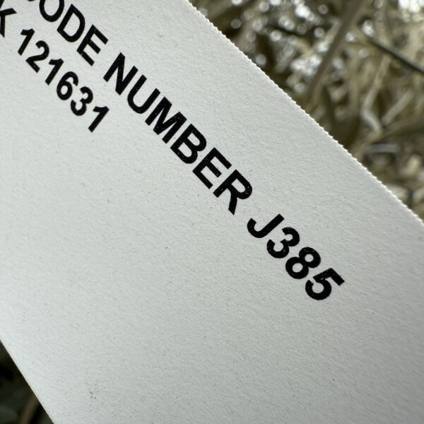 Gnarled Multistem Olive Tree XL J385 - 6BF56646 9A19 4A67 86AF A0BE55F0F607 1 scaled