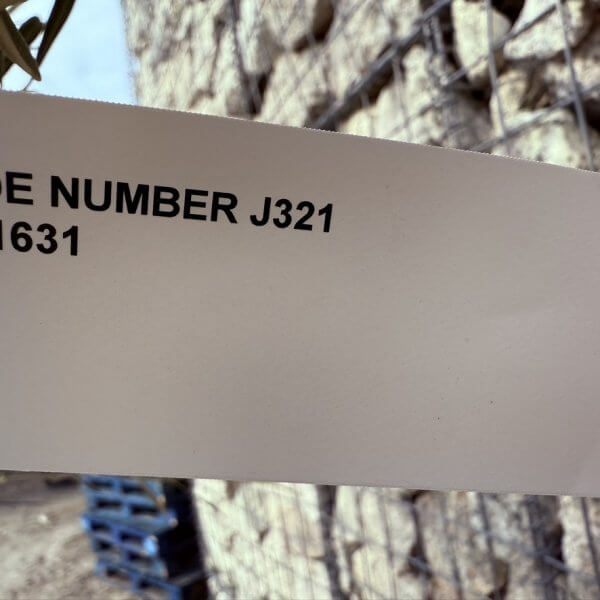 Gnarled Multistem Olive Tree XL J321 - 8F0E00BF 0F62 46A7 A62A 234E01F35DC5