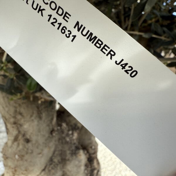 Gnarled Plateau Olive Tree XL J420 - CCB521BE D1A6 4C98 9A7F B81198D2BD4C scaled