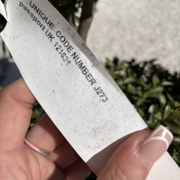 Ilex Maximowicziana Cloud Tree J273 - D5DD3AED 3C04 4D5D BB14 24BD2EFB783D 1 105 c
