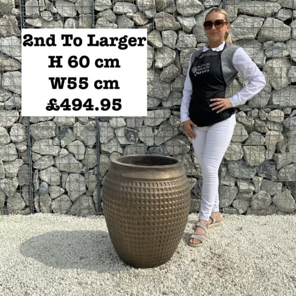 The Phu Yen Glazed Golden Bronze Plant Pots - Image 4