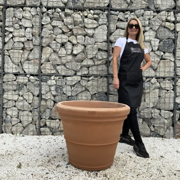 Terracotta Tuscan Pot Rolled Rim 65 (Handmade)